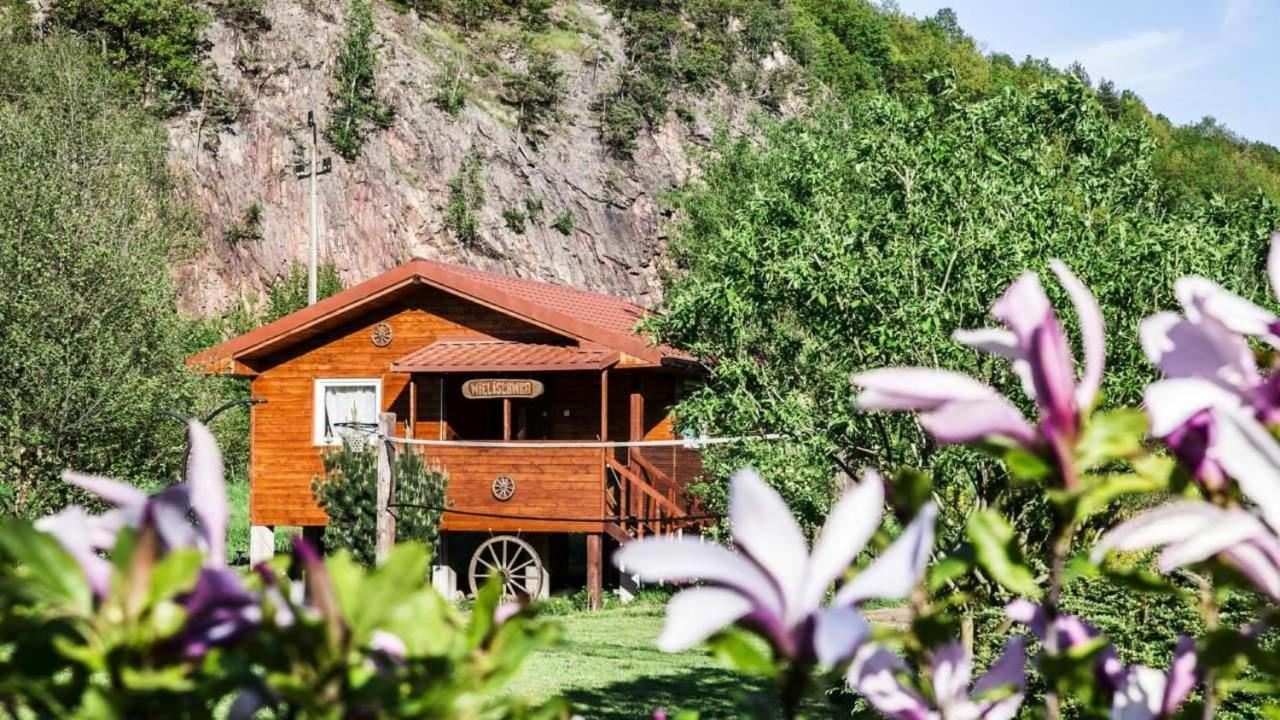 Eden Villa Sedziszowa Bagian luar foto