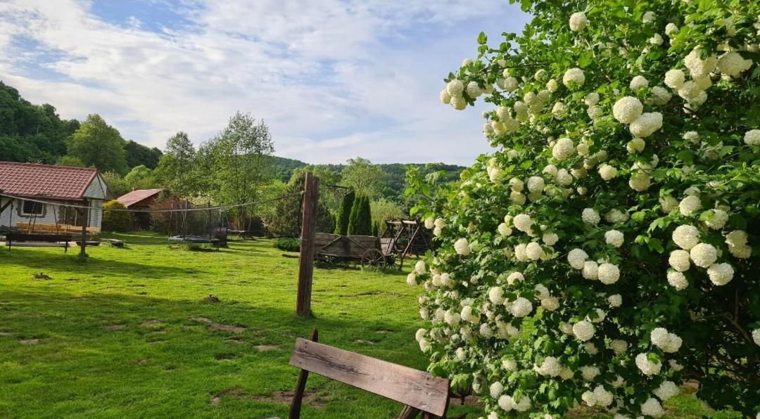 Eden Villa Sedziszowa Bagian luar foto
