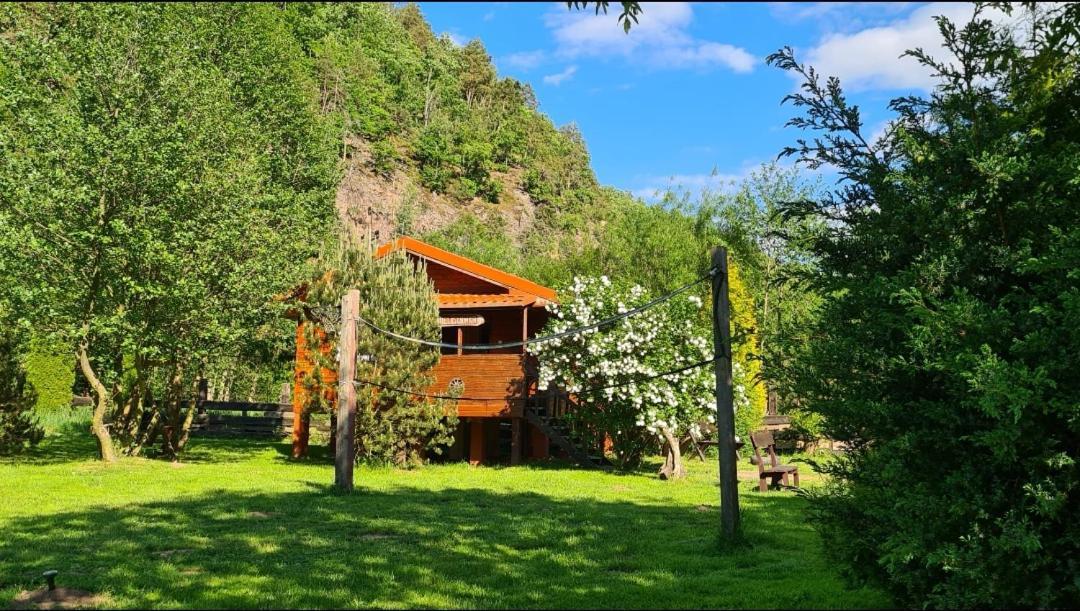Eden Villa Sedziszowa Bagian luar foto
