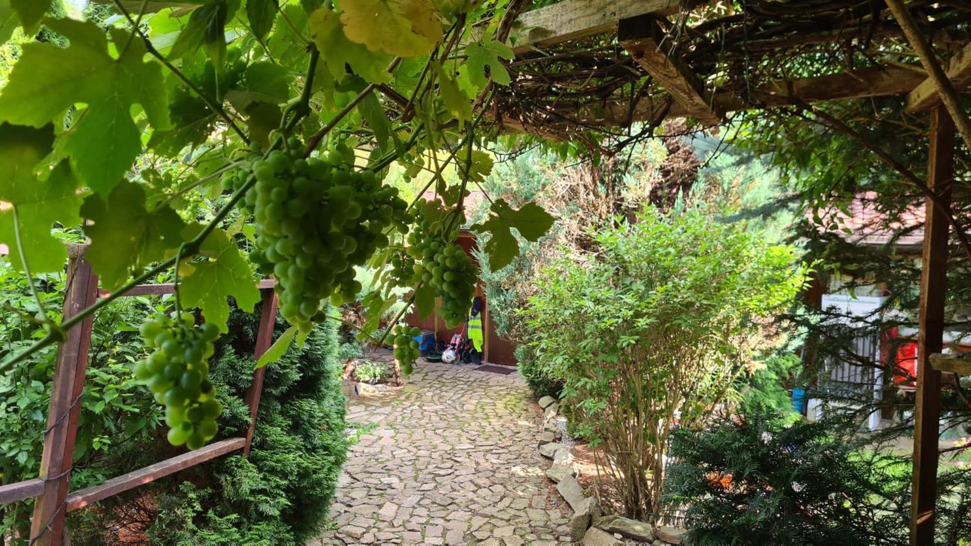 Eden Villa Sedziszowa Bagian luar foto